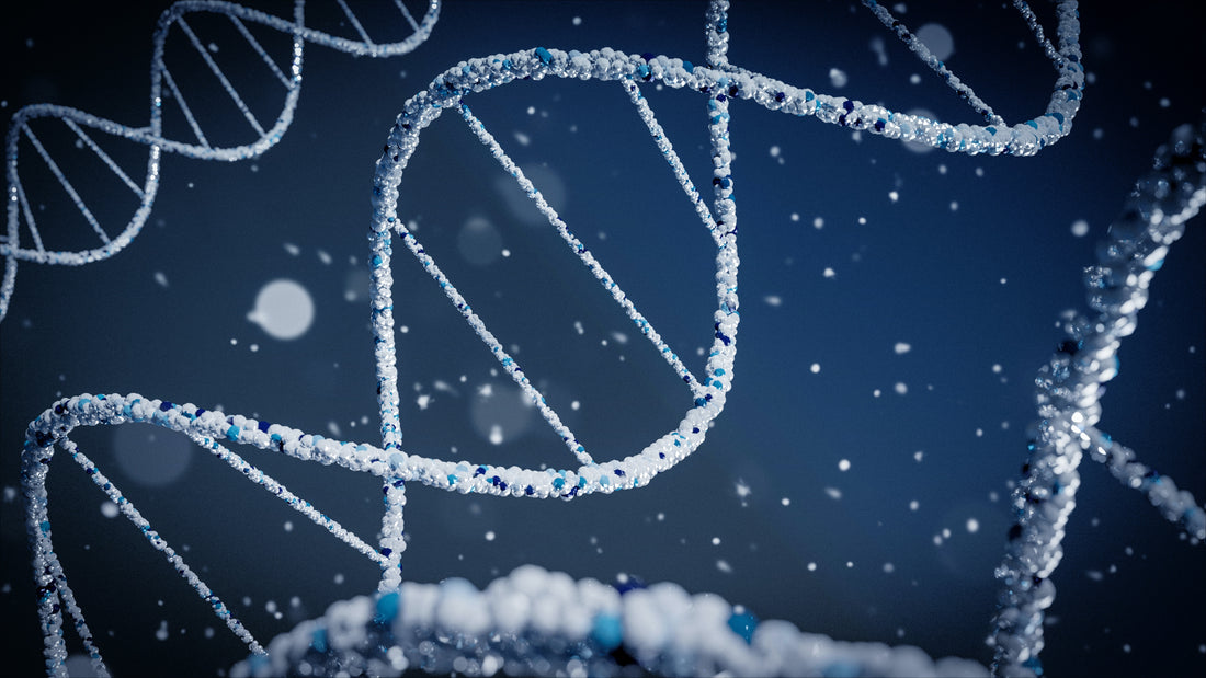 Nucleic acids play a critical role in DNA repair mechanisms